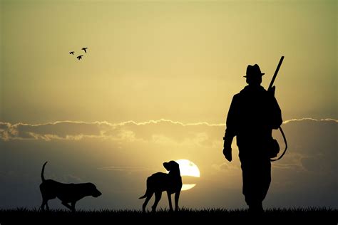 Silhouette Photo Of Man Holding A Rifle Dog Sun Men Hunting Hd