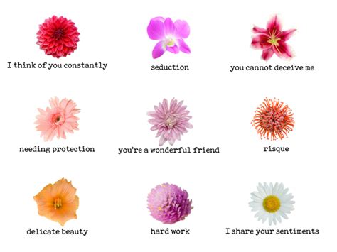 Check spelling or type a new query. Mom's in Business — the bloom equation