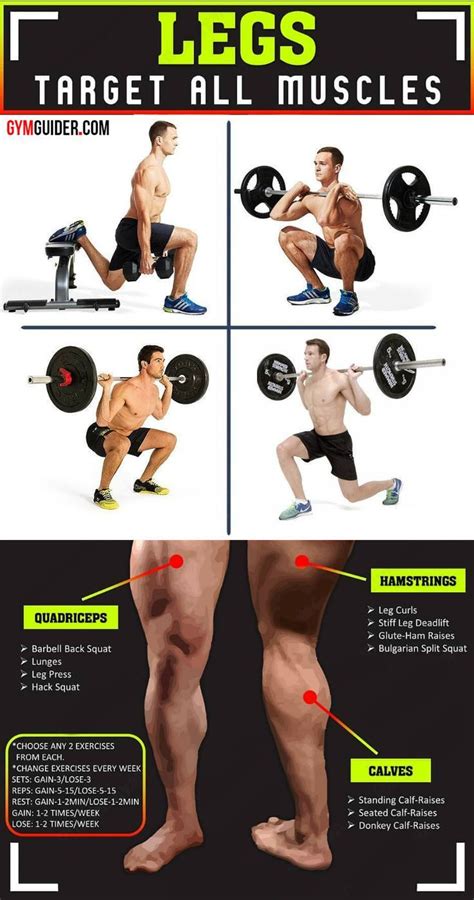 Build Massive Strong Legs And Glutes With This Lower Body Workout Leg