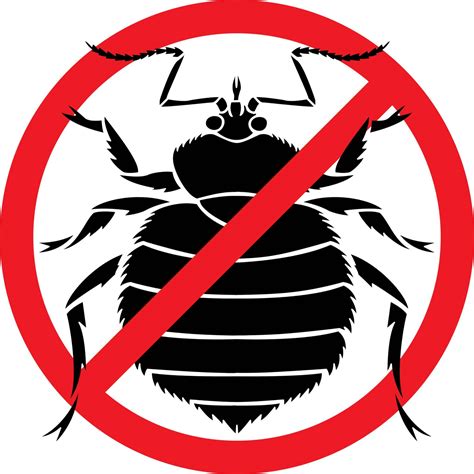Top Four Frequently Asked Questions About Pest Control