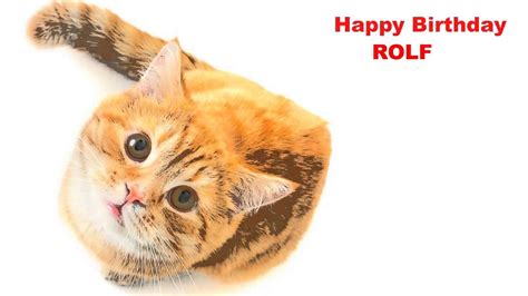Rolf Cats Gatos Happy Birthday Youtube