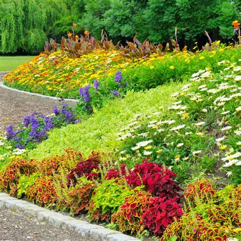 Delightful Flower Bed In The Summer Park Stock Image Image Of
