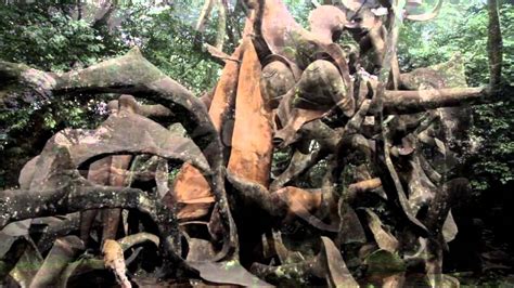 Discover Nigeria With Zodml Osun Osogbo Sacred Grove Youtube
