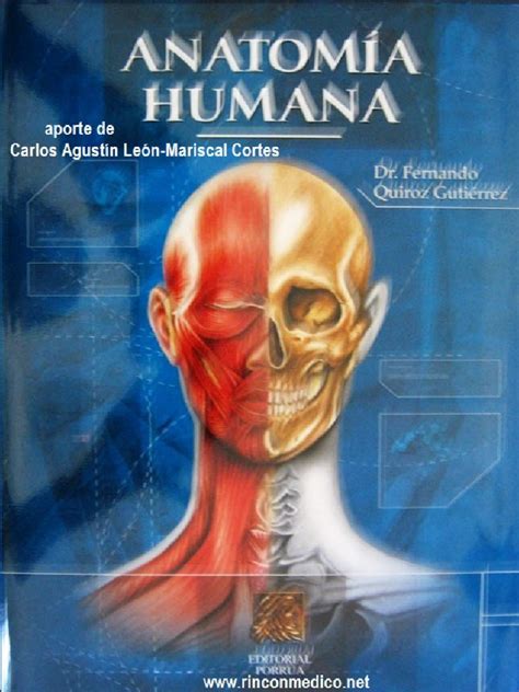 Anatomia Humana Quiroz Pdf Gratis High Powerxpert