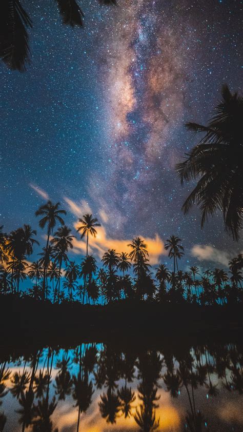 Download Wallpaper 1080x1920 Palm Trees Starry Sky Milky