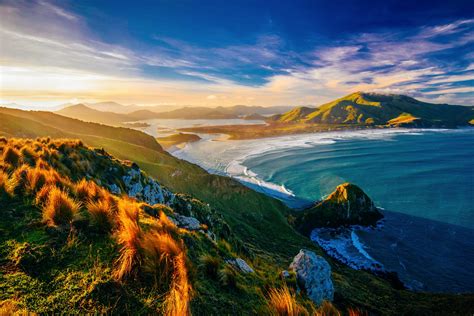 10 Beaches You Have To Visit In New Zealand Hand Luggage
