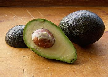 The avocado is an evergreen tree in the lauraceae family. Hass Avocado