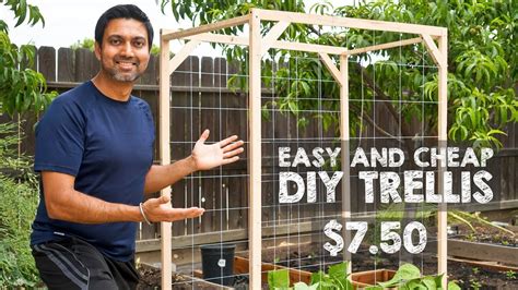 How To Build A Garden Trellis Builders Villa