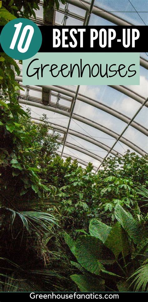 The Top 10 Best Pop Up Greenhouses In Green House With Text Overlay