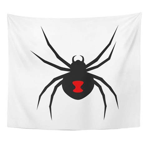 Black Widow Spider Markings