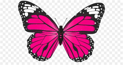Butterflies are insects in the macrolepidopteran clade rhopalocera from the order many butterflies are attacked by parasites or parasitoids, including wasps, protozoans, flies, and other in this gallery butterfly we have 67 free png images with transparent background. The Pink Butterfly Toy Butterfly bush Pink Butterfly Bed ...