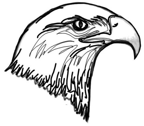 We've got duck coloring pages, peacock coloring pages, chicken coloring pages, owl coloring pages, parrot coloring pages, and even flamingo this eagle is off on a mission, and you can tell his confidence is overflowing. Picture of Bald Eagle Head Coloring Page - NetArt