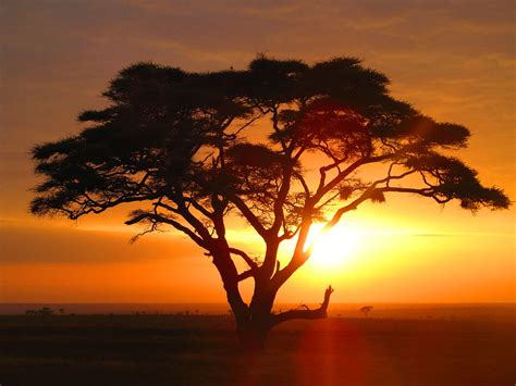 Galerie Africa African Sunset Beautiful Islands