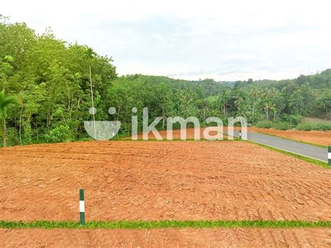 Land For Sale Colombo Kandy Road Weweldeniya Ikman