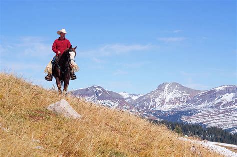 Rocky Mountain Horseback Riding By Amygdala Imagery