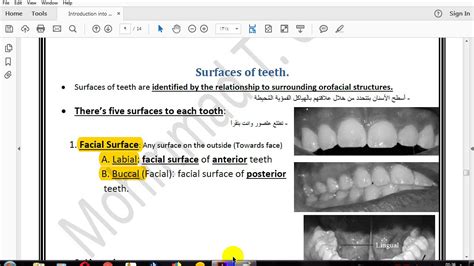 Dental Anatomypointandline Angles Youtube