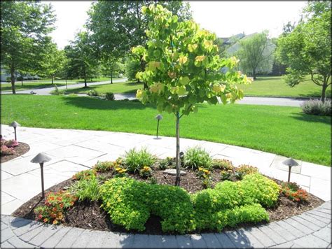 Ornamental Trees For Landscaping Small Home Improvement