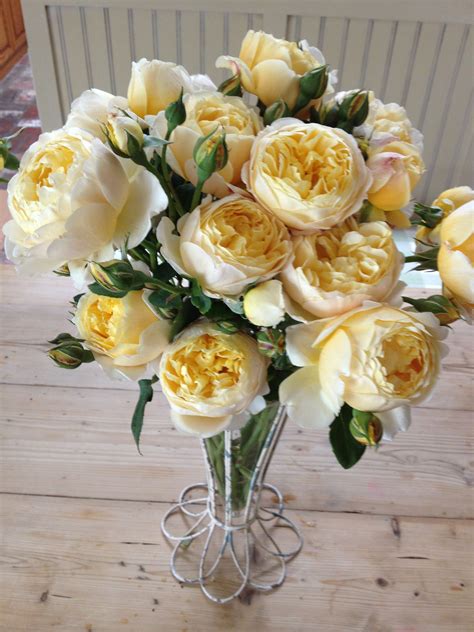 David Austin Roses Charlotte Wish To Be Able To Make Such A Pretty