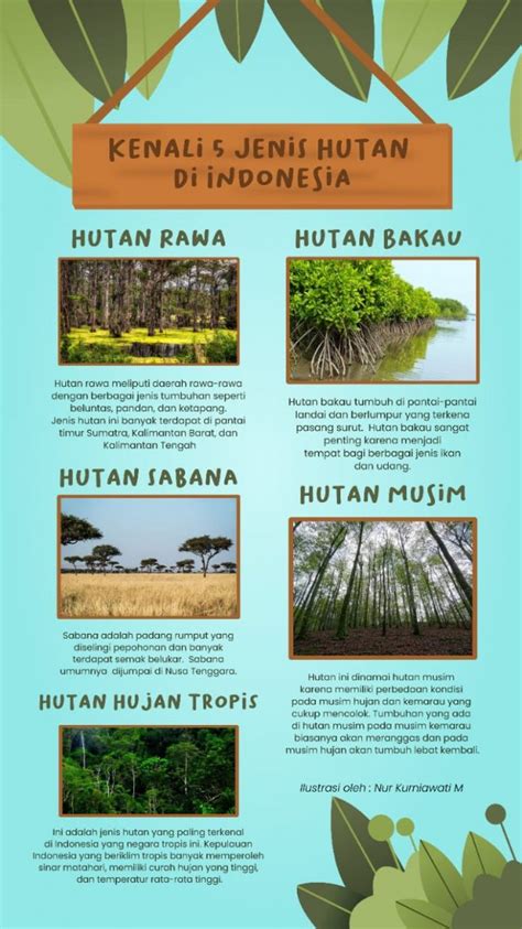 Portal Geografi Jenis Jenis Hutan Di Indonesia Fungsi Dan