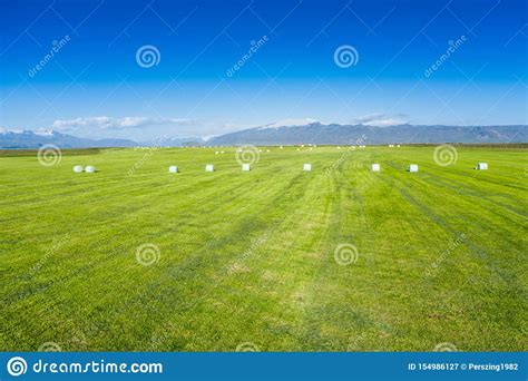 Aerial View Of Round Hay Bales Stock Image Image Of Straw Natural