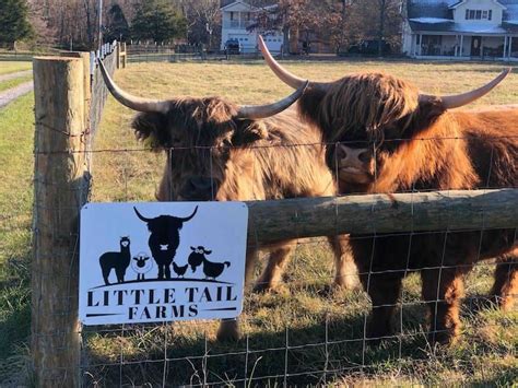 Farm Stay Little Tail Farms Farm Stays For Rent In Dunlap