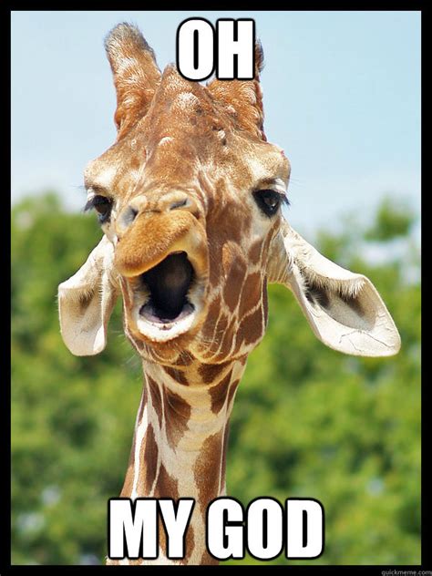 Oh My God Giraffe Quickmeme