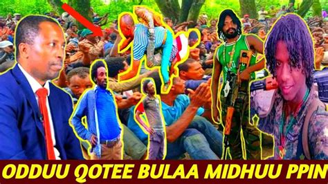 Odduu Hatatama Qotee Bulaa Oromiya Ppn 24 August 2021 Youtube
