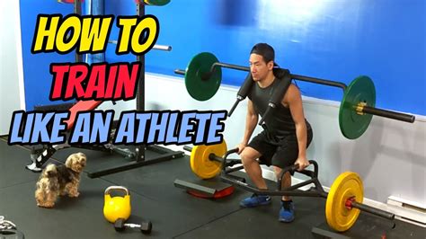How To Train Like An Athlete Youtube