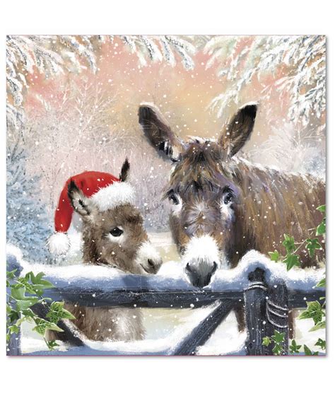 Donkey Duo Christmas Cards Pack Of 10 Or 20 Cancer Research Uk