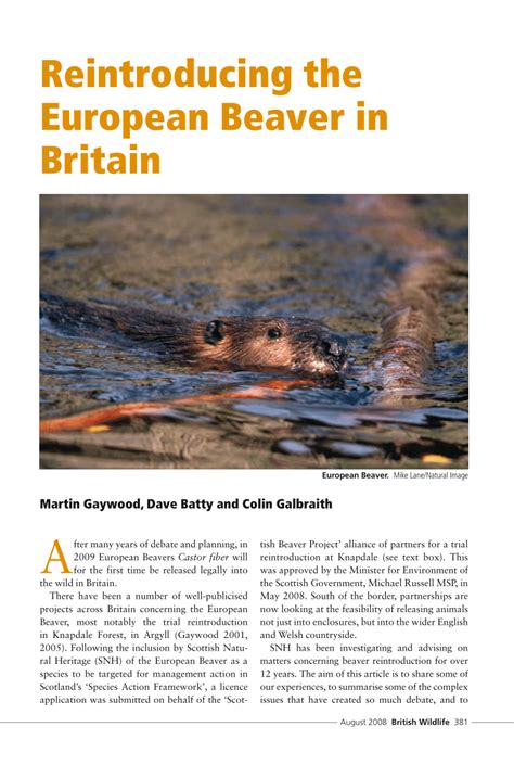 Pdf Reintroducing The European Beaver In Britain