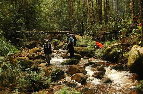 Kaeng krachan adalah taman nasional terbesar di thailand dan berada di sempadan rizab semulajadi tanintharyi di burma. Taman Negara Tanjung Mentong | Travel Guide & Makan² Guide