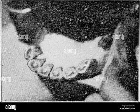 Remembering faces Black and White Stock Photos & Images - Alamy