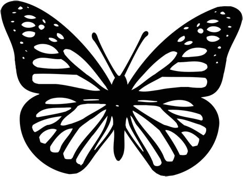 Monarch Butterfly Clipart Easy Drawing Cool