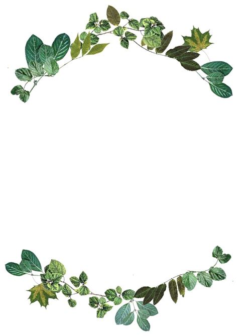 Borders With Leaves Jungle Image Jungle Leaves Border Png Free