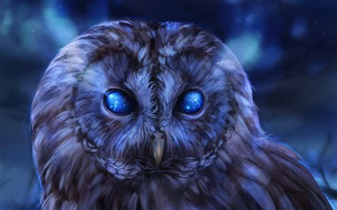 3840x2400 Bared Owl 4k Hd 4k Wallpapers Images Backgrounds Photos