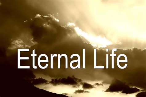 Gods Goodness And Love Eternal Life
