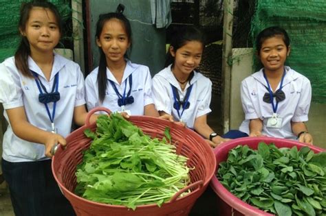 เด็กป.6ปลูกผักใช้น้ำน้อยสร้างรายได้เข้าโรงเรียน - โพสต์ทูเดย์ เรื่องดี ...