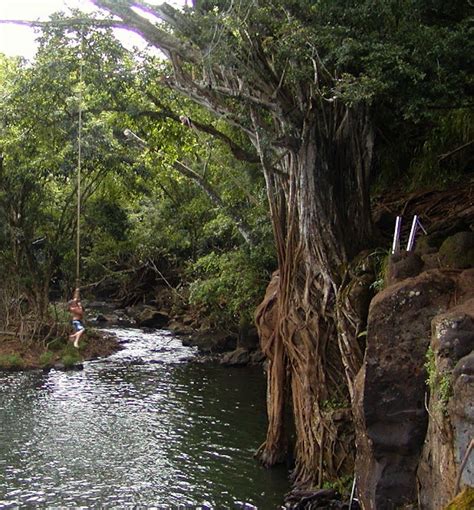 Kauai Hawaii Kipu Falls Rope Swing To