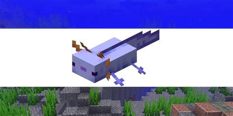 Axolotl Minecraft Rare