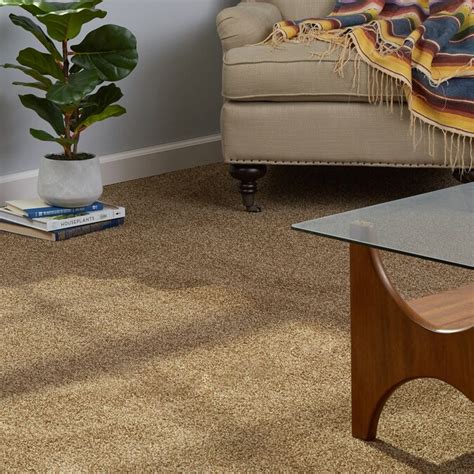 Shaw Charger Rr Mocha Textured Interior Carpet In The Carpet Department