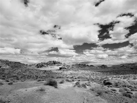 Desert Landscape Smithsonian Photo Contest Smithsonian Magazine