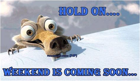 Hold Onweekend Is Coming Soon Pictures Photos And Images For