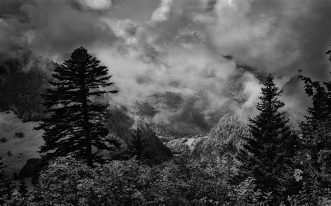 Nature Landscape Monochrome Mountain Forest Clouds Storm