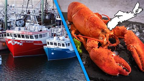 You Can Get Fresh Live Lobster For As Little As 5lb In Nova Scotia