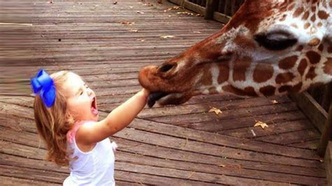 Funnest Baby Playing With Animals Funny Baby Actions Youtube