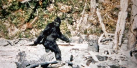 Ai Has Revealed What Infamous Bigfoot Footage Truly Is Indy100