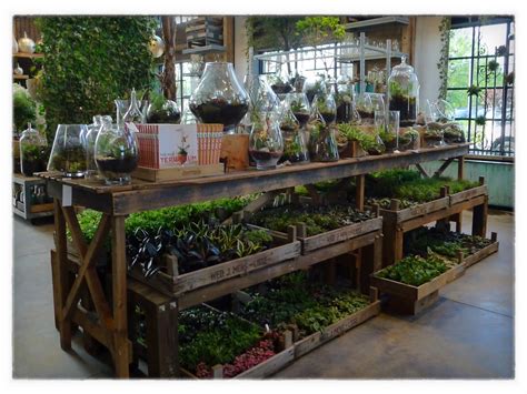 Maybe you would like to learn more about one of these? plant organization (con imágenes) | Como decorar el jardin ...