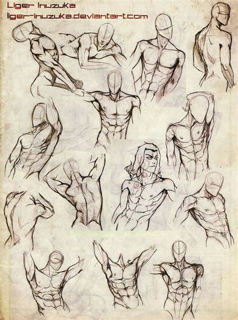 Male Body Drawing Guy Drawing Anatomy Sketches