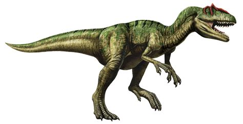 Allosaurus Facts About The Different Lizard Live Science