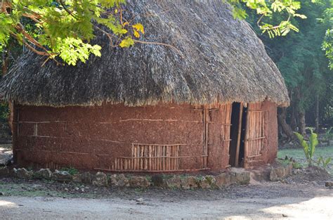 Mayan House With Palm Tree Roof Casa De Pueblo Arquitectura Fachadas